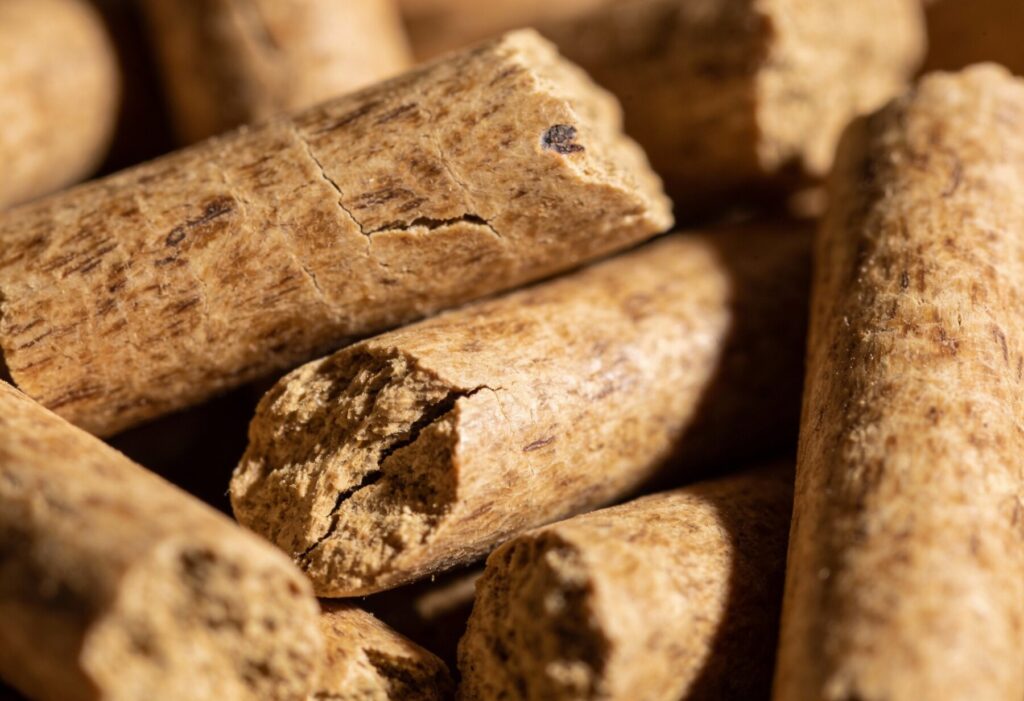 Puszcza Mariańska - Zdjęcie przedstawia bliskie ujęcie pelletu drzewnego, idealnego do ekologicznego ogrzewania. Pellet charakteryzuje się jednolitą strukturą i wysoką kalorycznością, a także dostępną dostawą do domu.